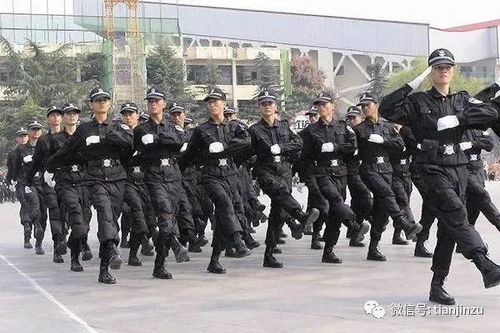 冬至過(guò)后數(shù)九寒天開(kāi)啟 津城氣溫與保安服務(wù)消解讀